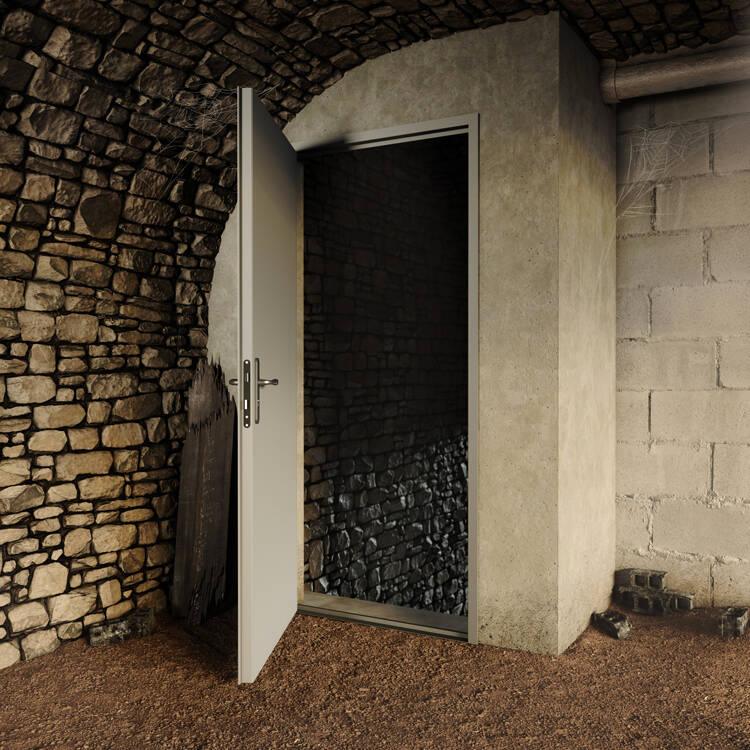 Porte de cave