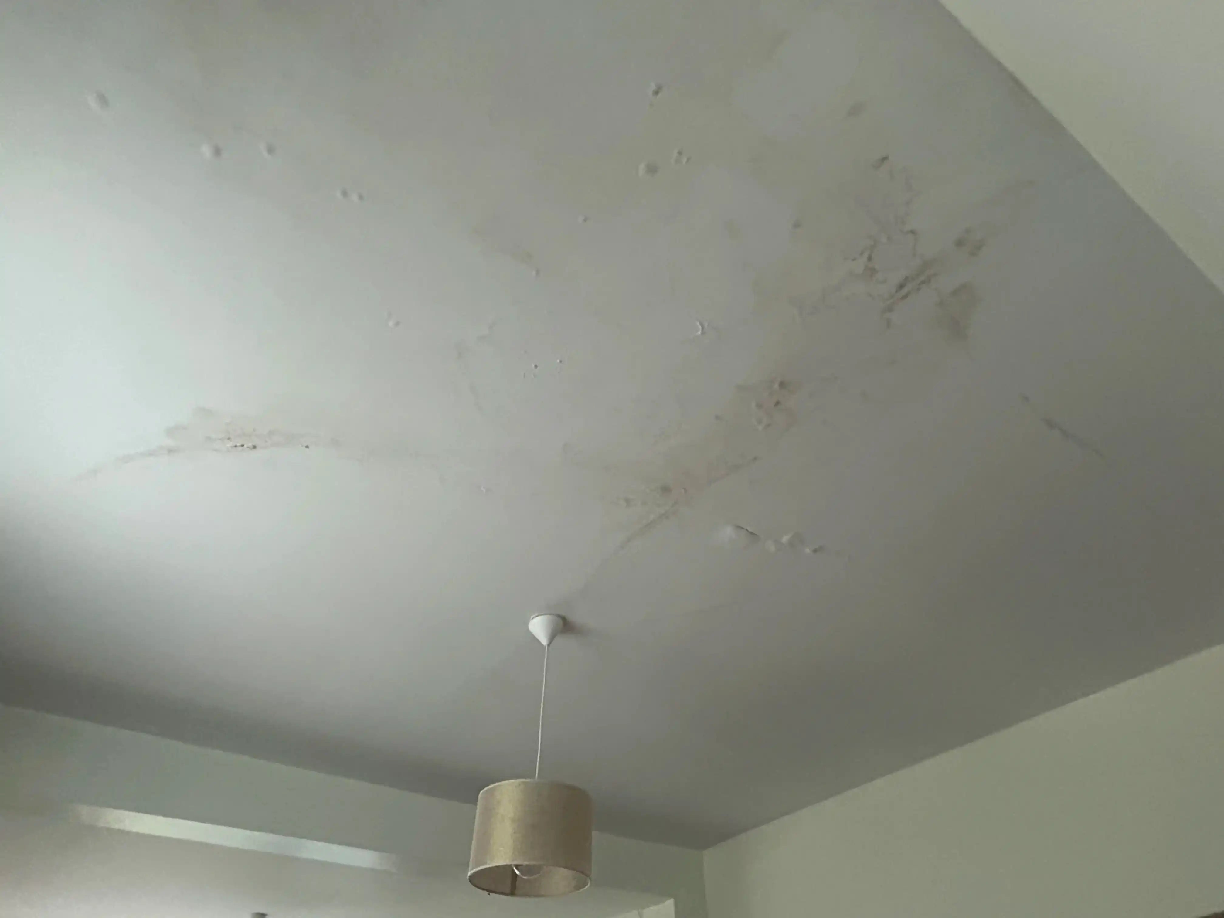 Plafond taché et cloqué suite à un dégât des eaux avant travaux de reprise de peinture à Courbevoie.