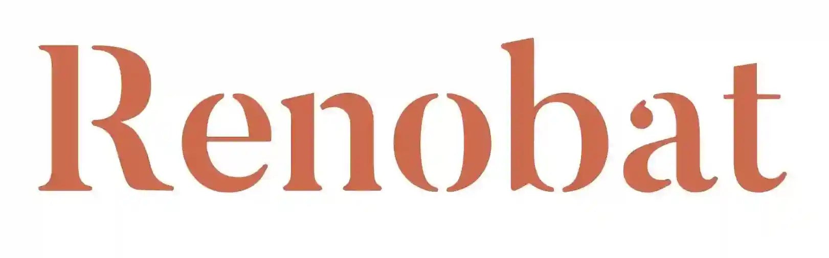 Renobat - Entreprise de rénovation Paris Île-de-France